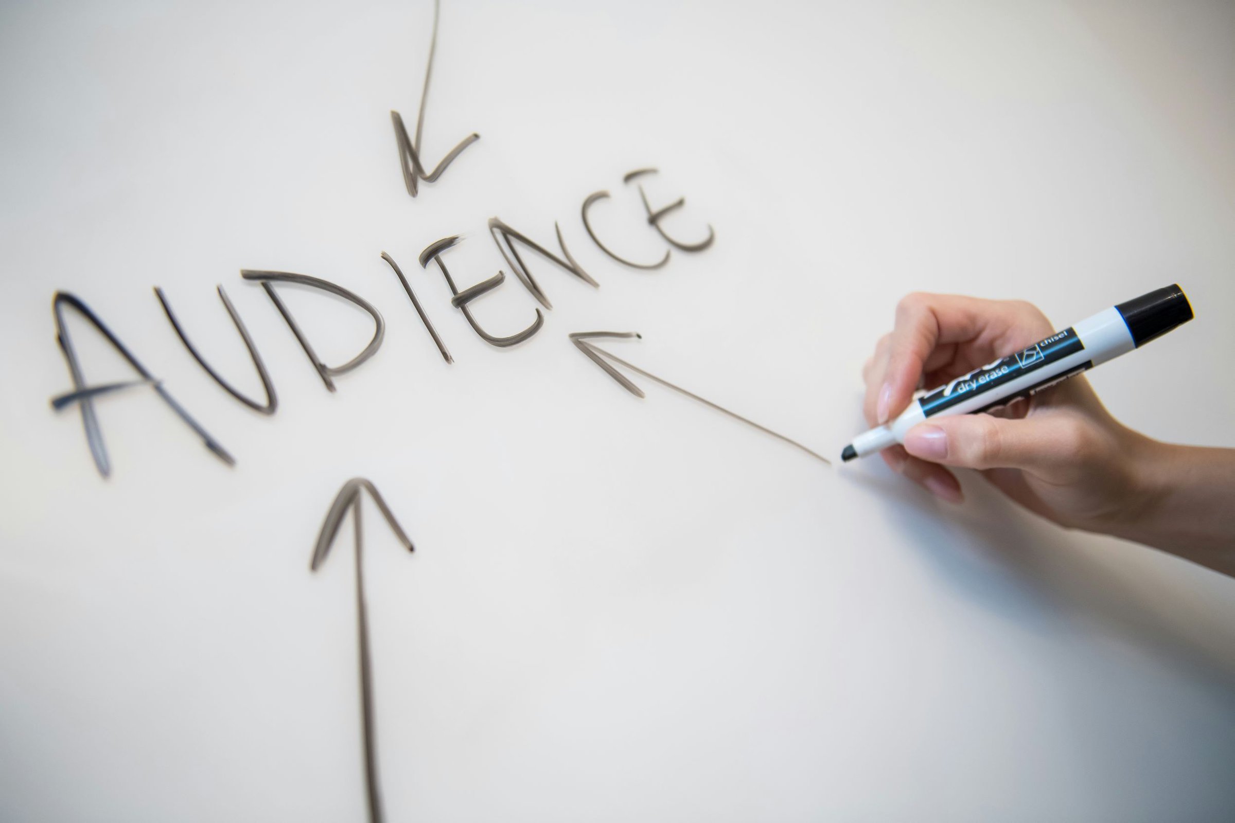 white board that says "audience"