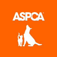 charity-auctions-today-national-partner-aspca